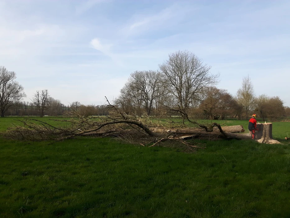 Scène extérieure, terrain herbeux